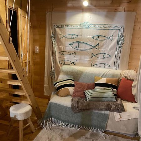 Maison En Bois 1 Chambre 4 Couchages Type Tiny House غرانفيل المظهر الخارجي الصورة